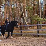 Osada Jurtcamp W Witowie * Witowko