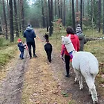 Séjour à la ferme Osada Jurtcamp W Witowie Witowko