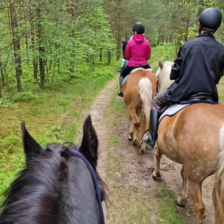 Osada Jurtcamp W Witowie Фермерский дом *