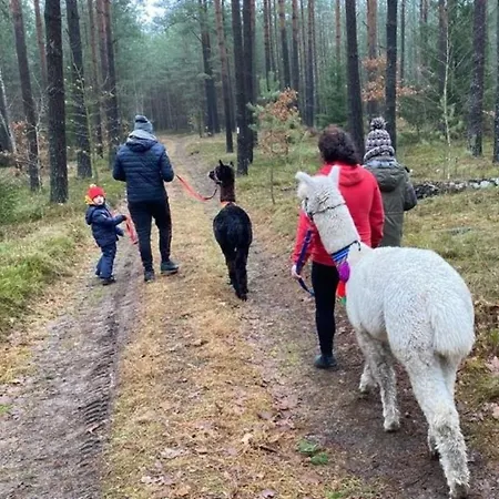 Фермерский дом Osada Jurtcamp W Witowie Witowko