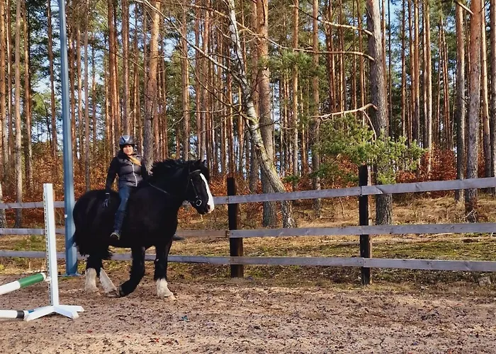 Osada Jurtcamp W Witowie * Witówko